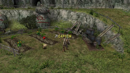 monster-hunter-freedom-03