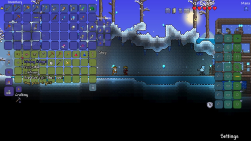 terraria-03